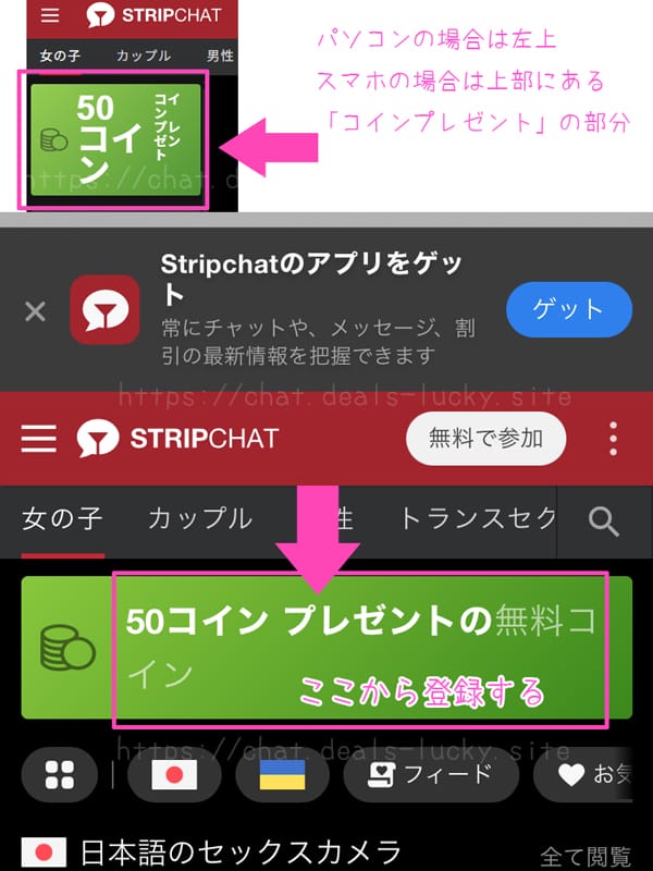 ストリップチャット